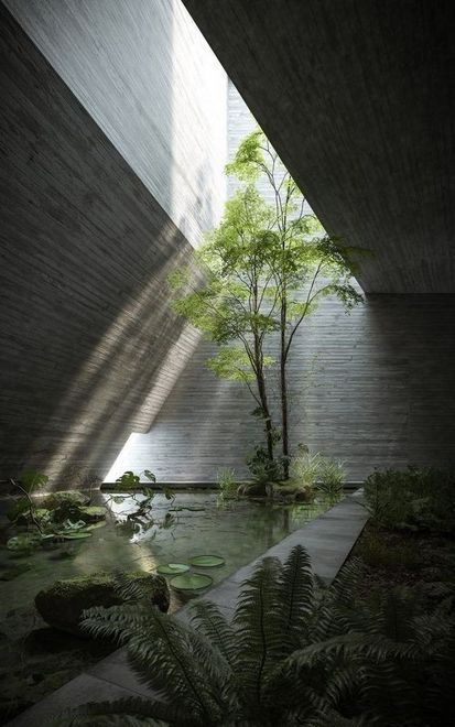 Arquitectos en Aguascalientes