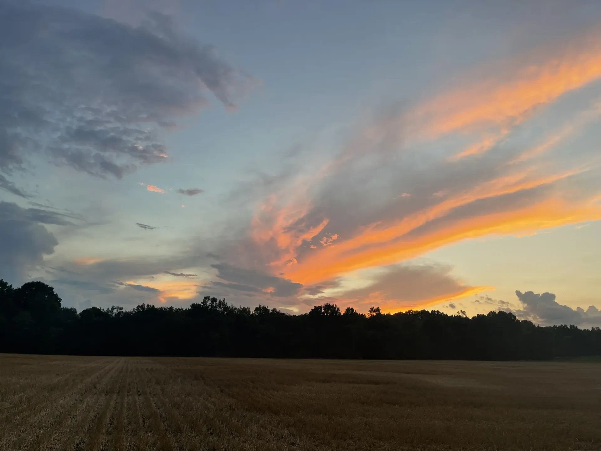 A sunset over a field with trees in the background