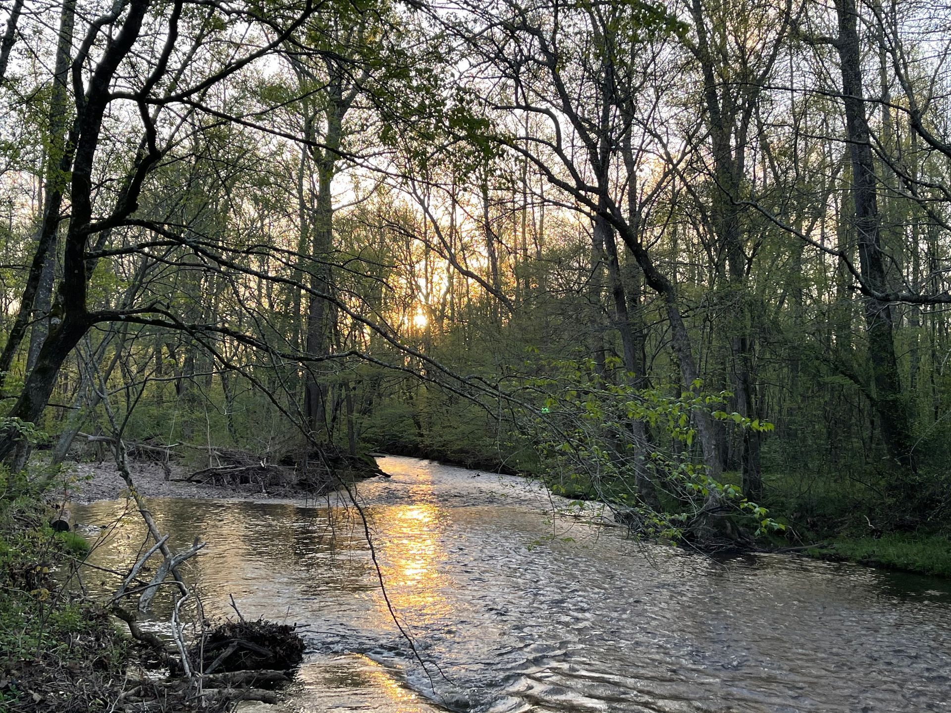waterside at the red coach resort
