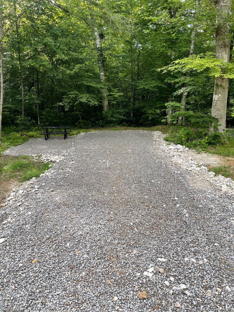 Primitive rv site at camp t