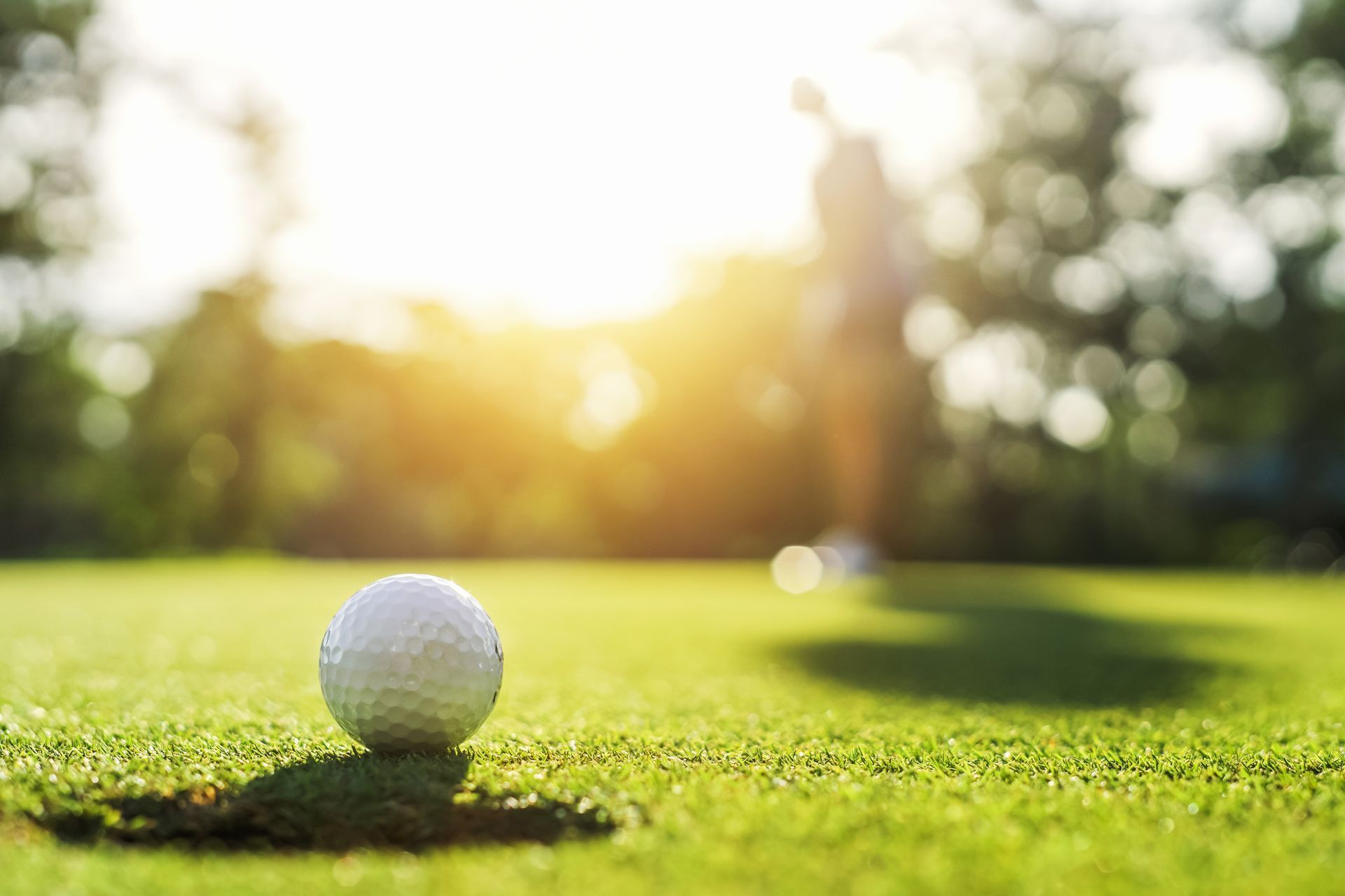 A golf ball is sitting on the green of a golf course.