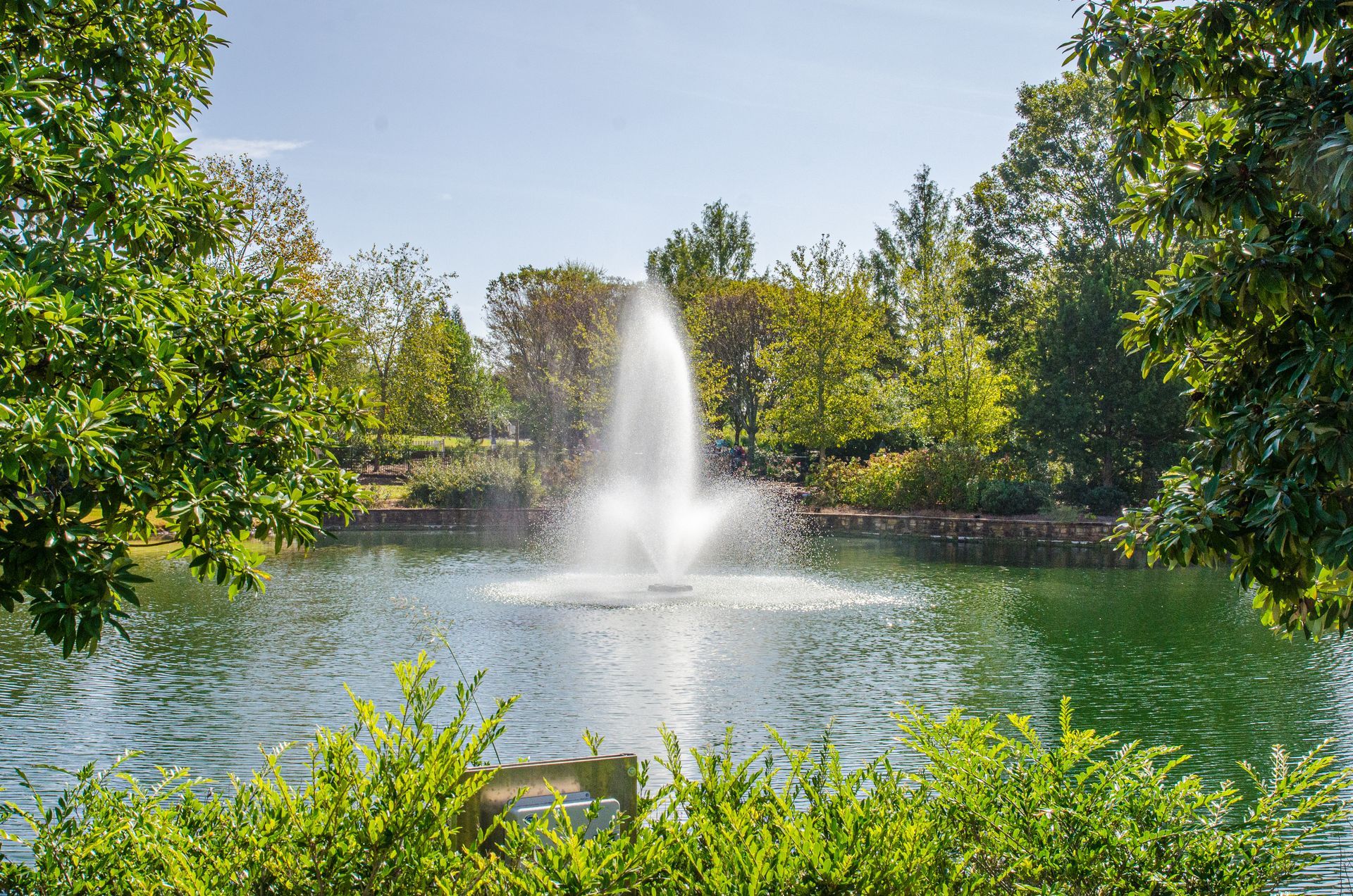 Fountain spraying water high into the air in a pond, framed by green trees on a sunny day.