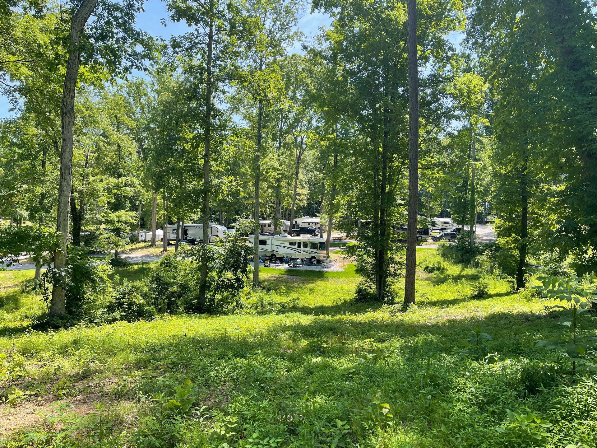 A group of rvs are parked in a grassy area surrounded by trees.