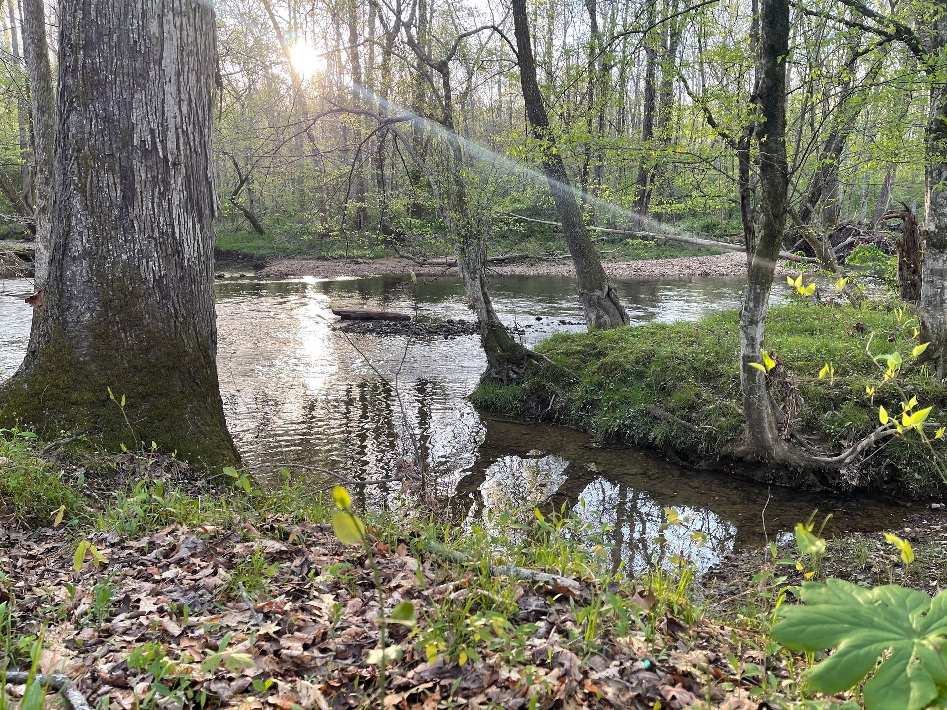 waterside camp t at the red coach resort