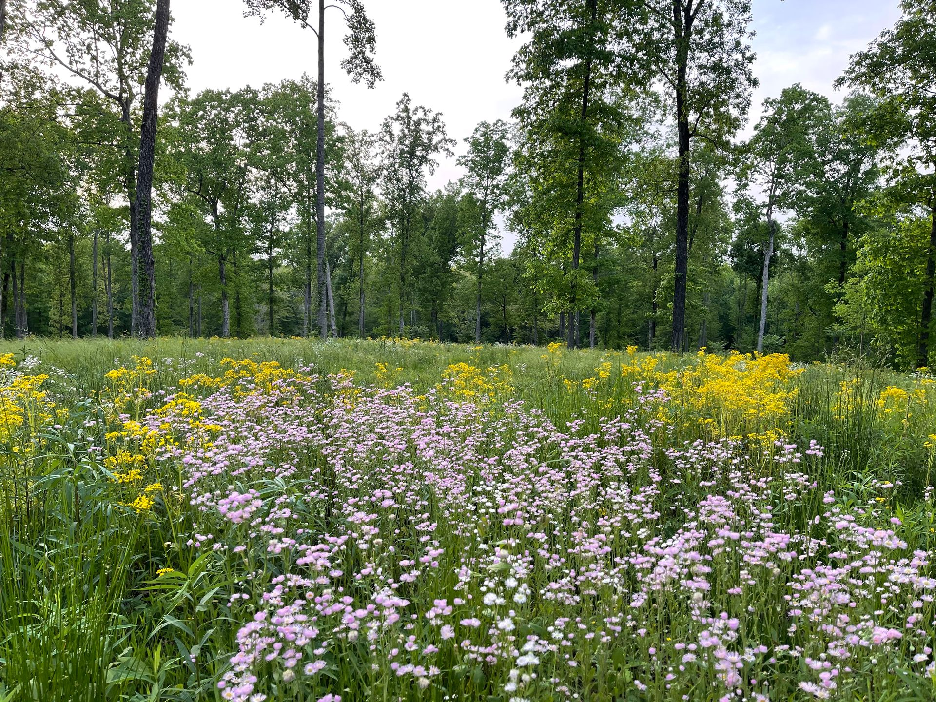 Spring at Red Coach Resort