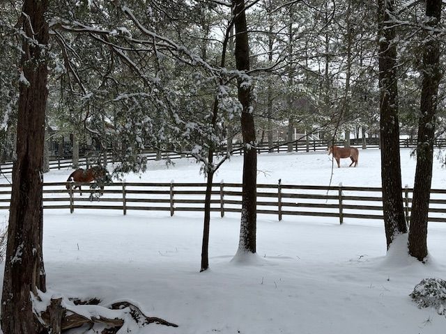 Snowfall at the Red Coach Equestrian farm 