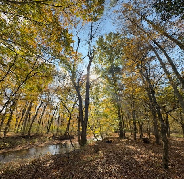 Waterside Picnic at Red Coach Resort