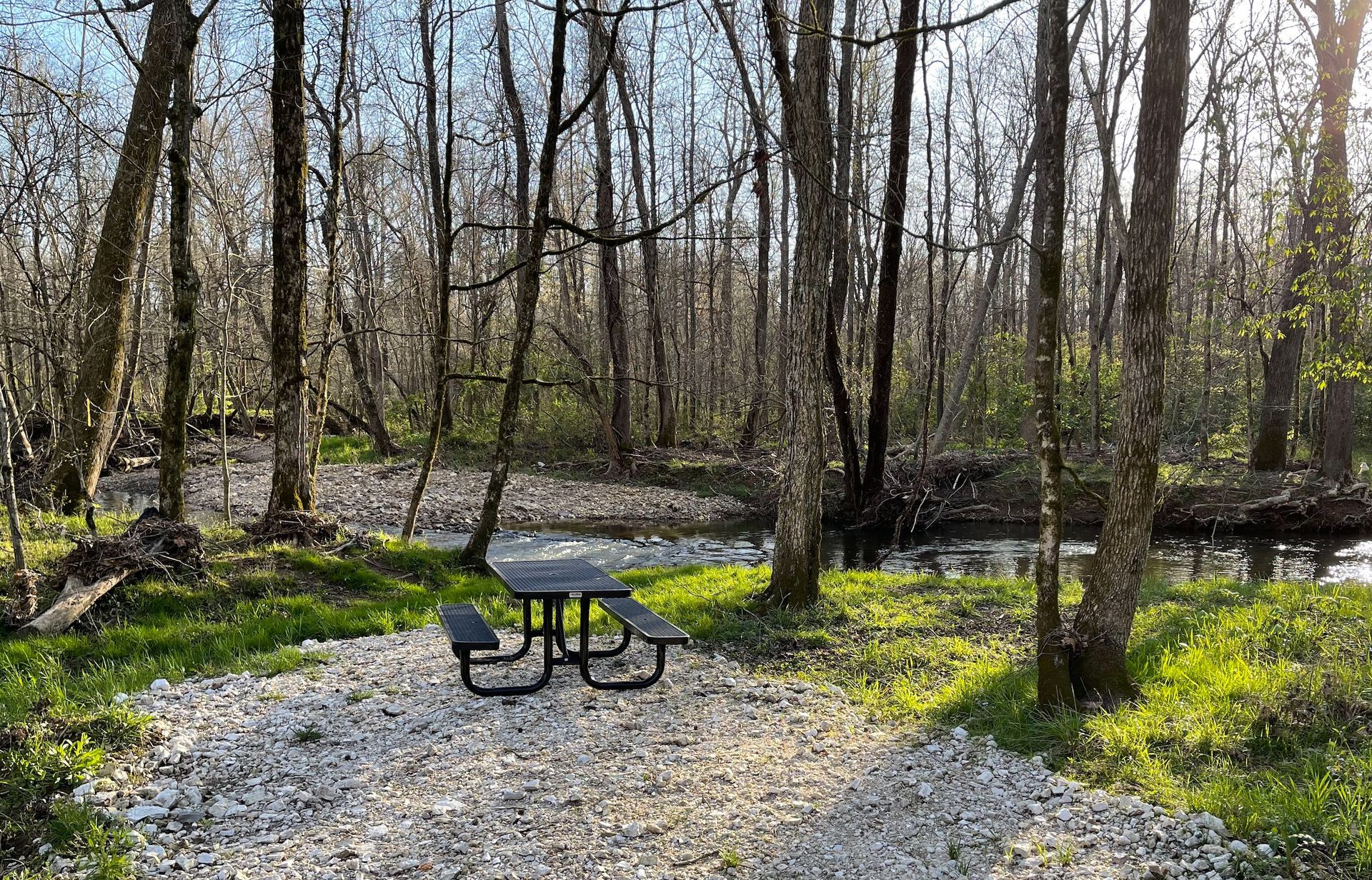 A picnic table in the middle of a forest next to a stream.