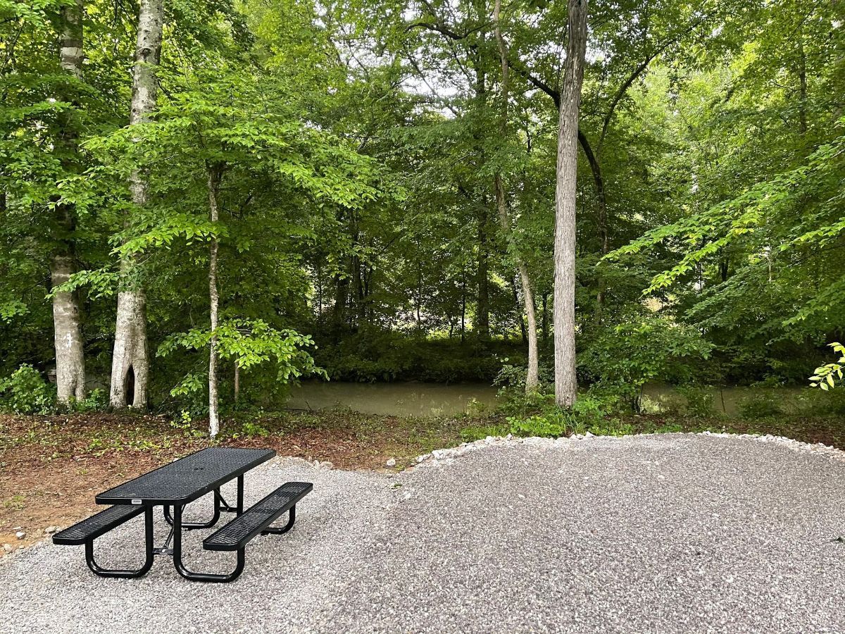 There is a picnic table in the middle of the woods.