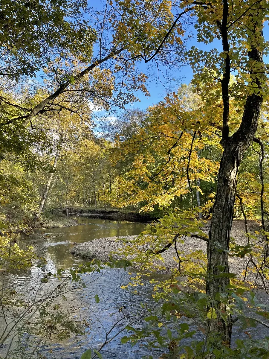 A river surrounded by trees with yellow leaves and a bridge in the background.
