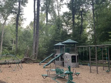 A playground in the middle of a forest with trees in the background.