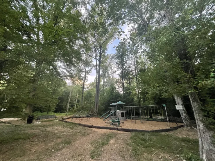 A playground in the middle of a forest surrounded by trees.