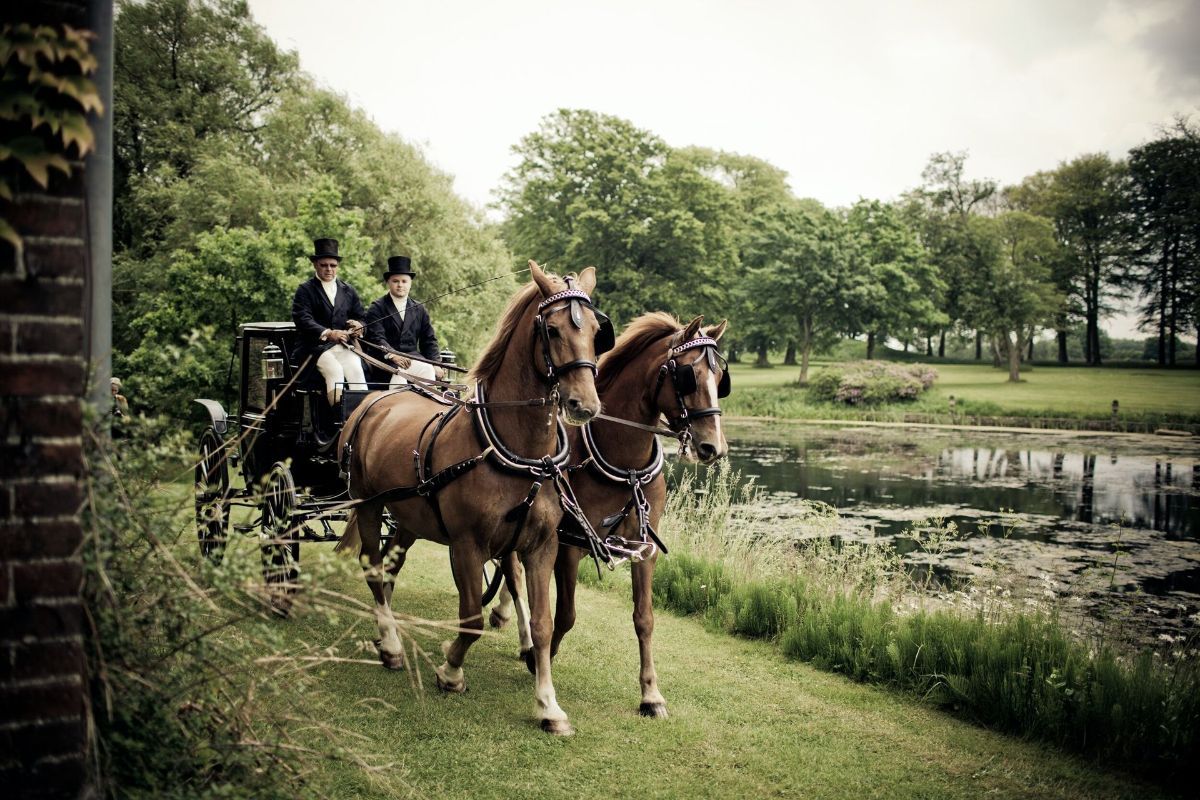 Two men are riding in a horse drawn carriage.