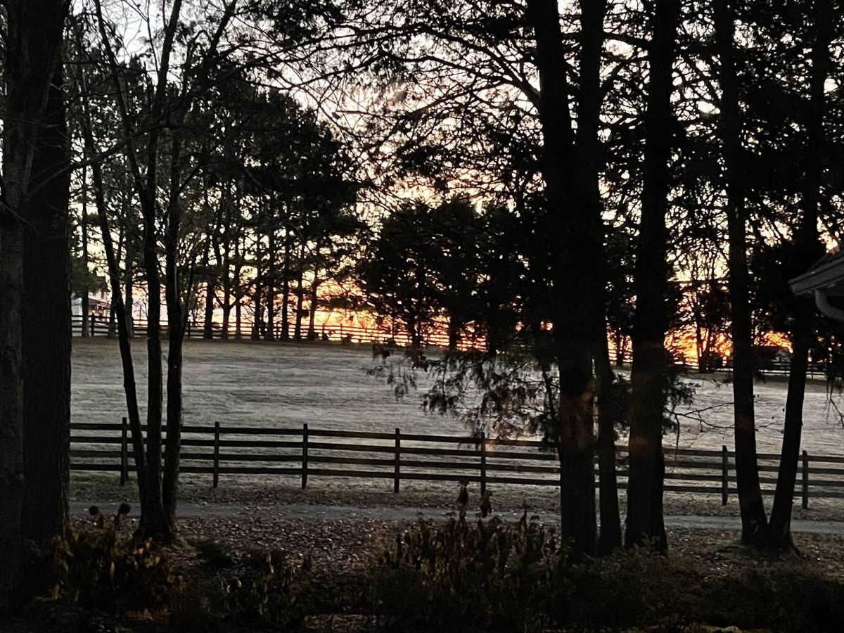 A fence surrounds a field with trees in the foreground