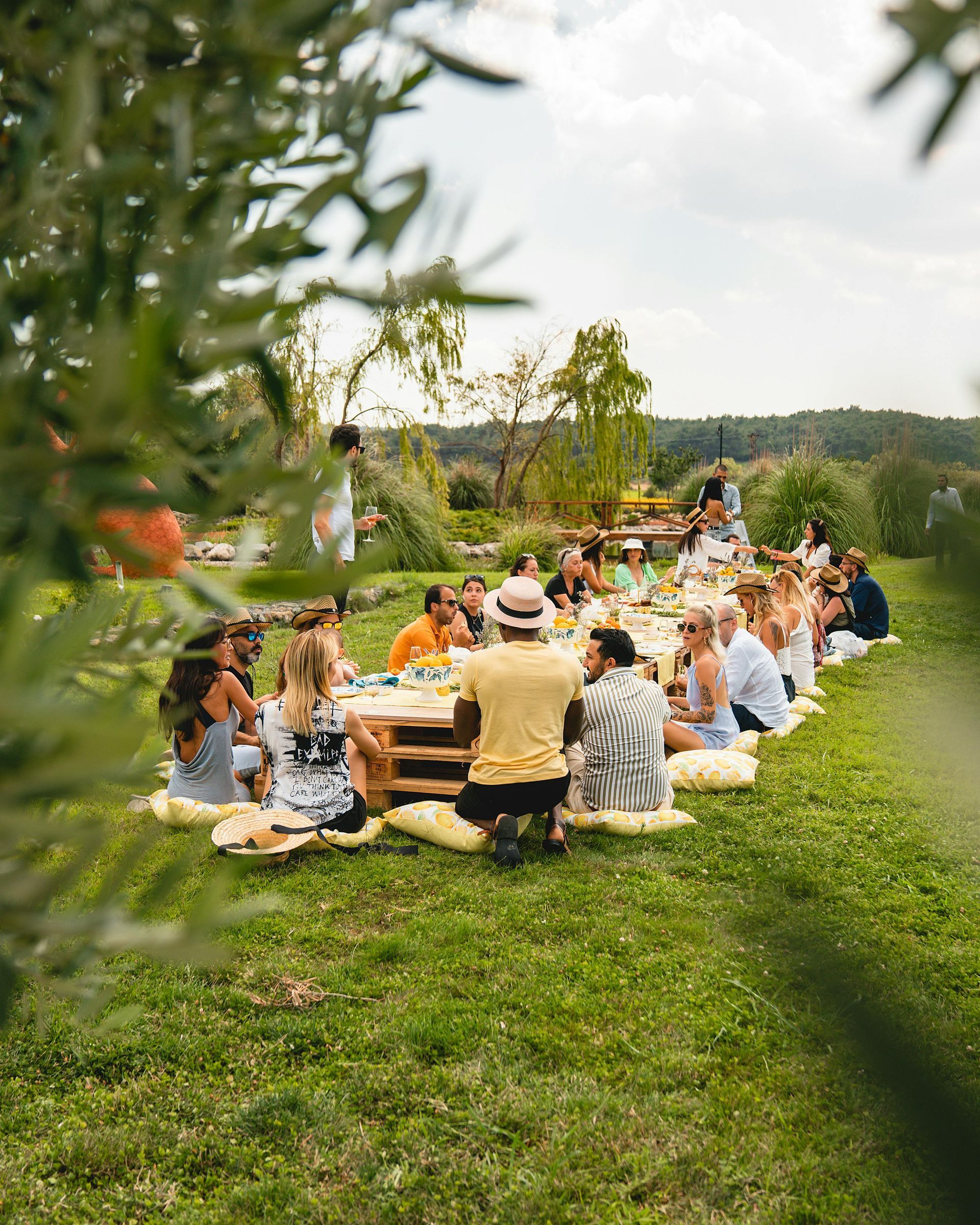 picnic on the grounds