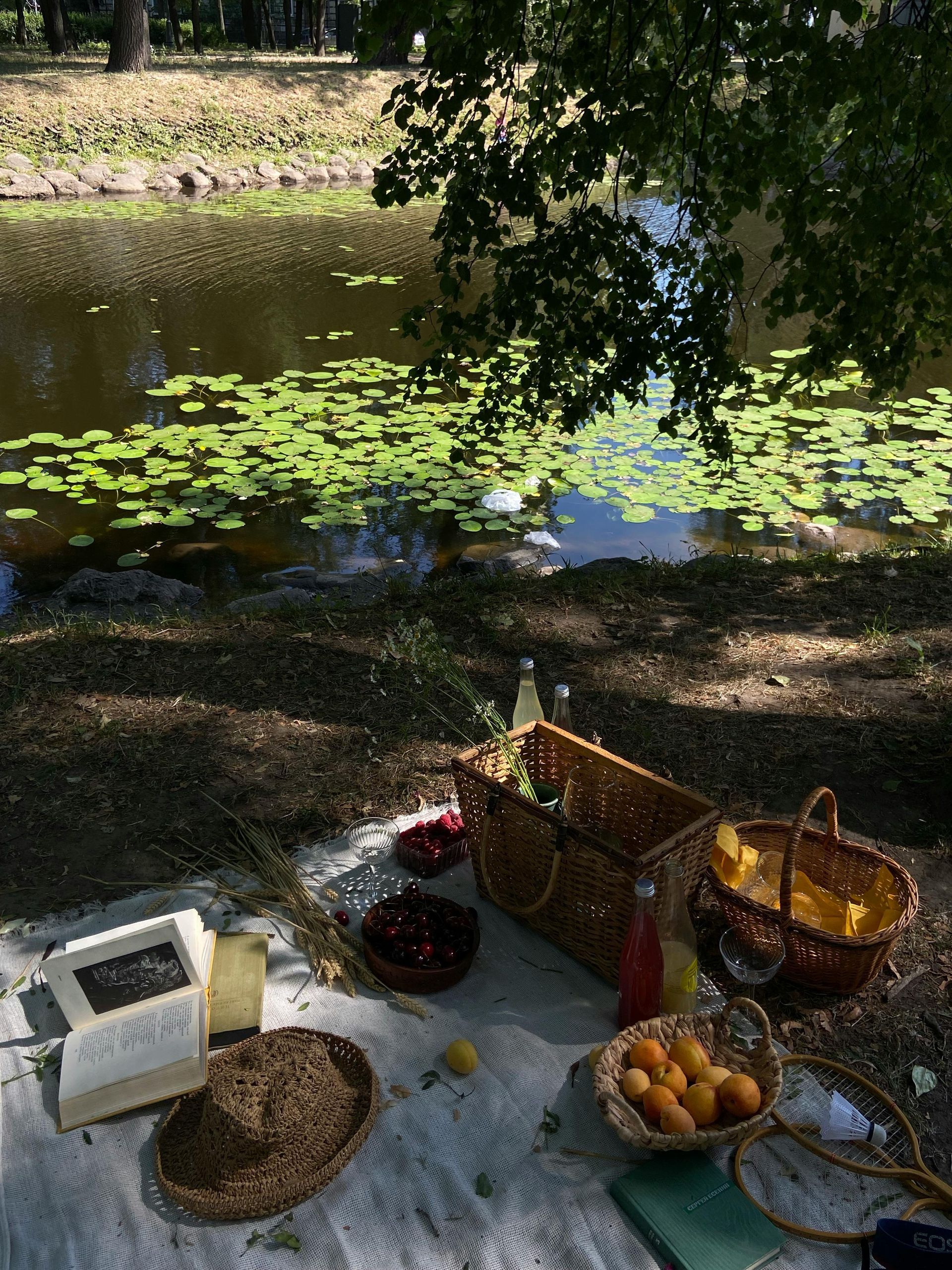 waterside picnic