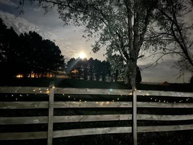 a foggy evening at the red coach resort equestrian farm