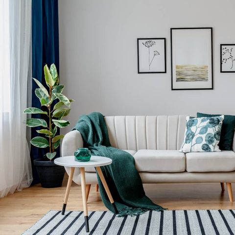 Soft white couch, with timber legs, in living room with striped rung and small white round coffee table in front. Pictures on wall behind couch, blue drapes opened with white sheer curtains, and green plant in front.
