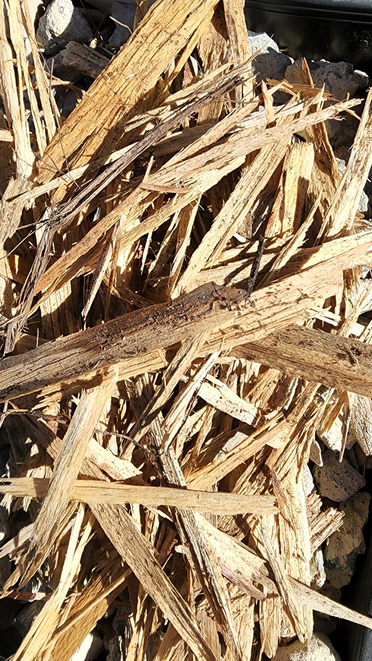 Close-up of brown wood mulch, textured with various sized pieces. — Coastal Sand Soil & Mulch in Point Vernon, QLD