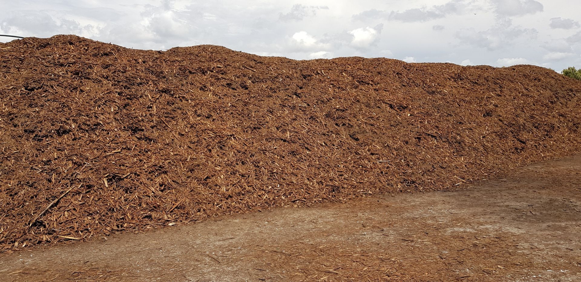 Three Piles of Coloured Mulch: Red, Tan, and Dark Brown — Coastal Sand Soil & Mulch in Maryborough, QLD