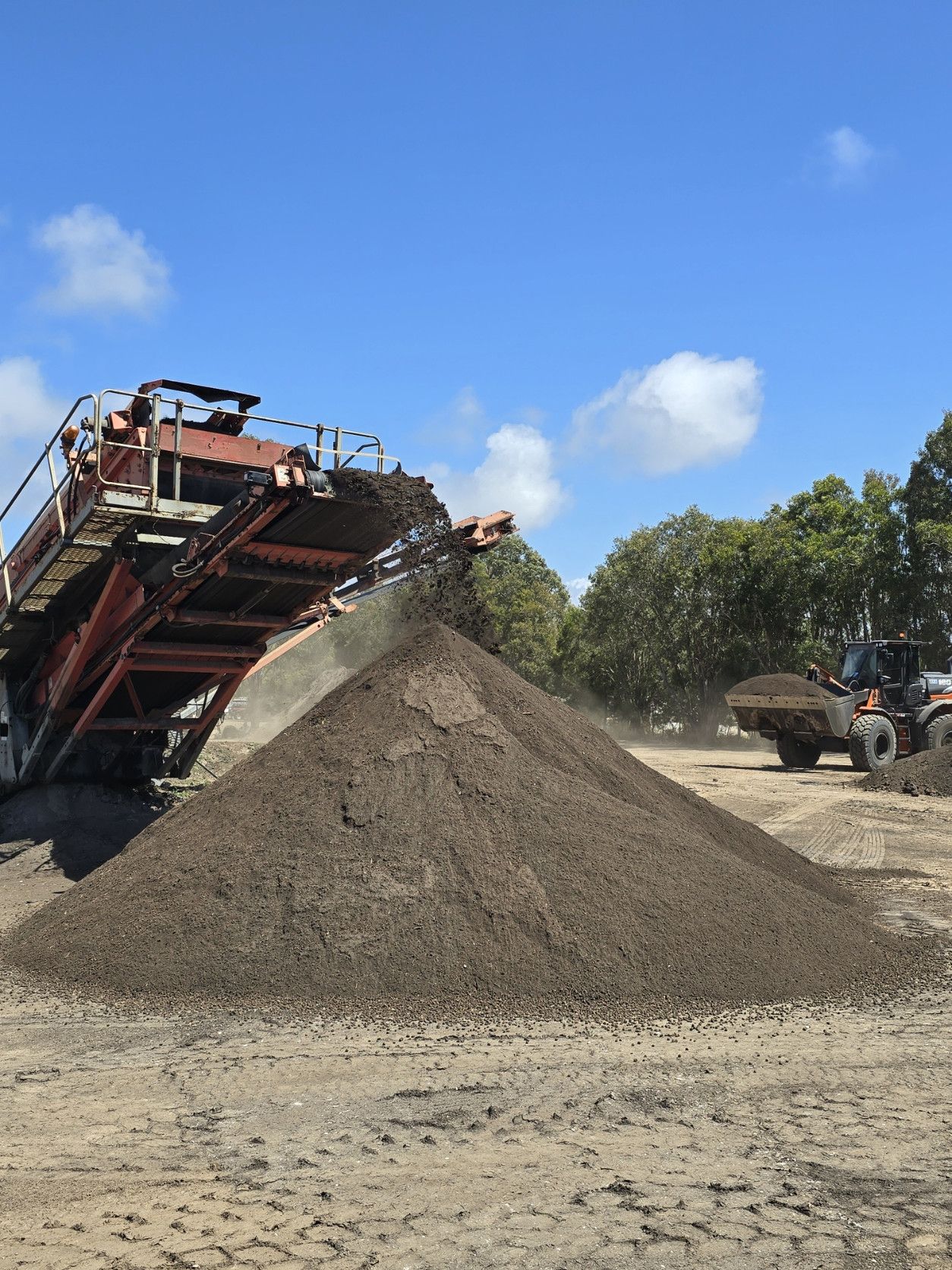 Person Holding a Handful of Dark — Coastal Sand Soil & Mulch in Craignish, QLD