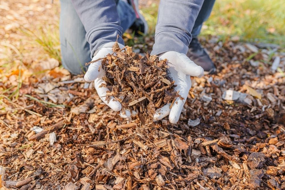 Person Kneeling, Hands Holding Handful of Wood Chips Outdoors — Coastal Sand Soil & Mulch in Craignish, QLD