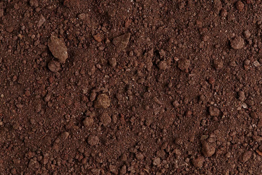 Dark Brown Soil, Textured with Small Clumps and Particles — Coastal Sand Soil & Mulch in Fraser Coast, QLD