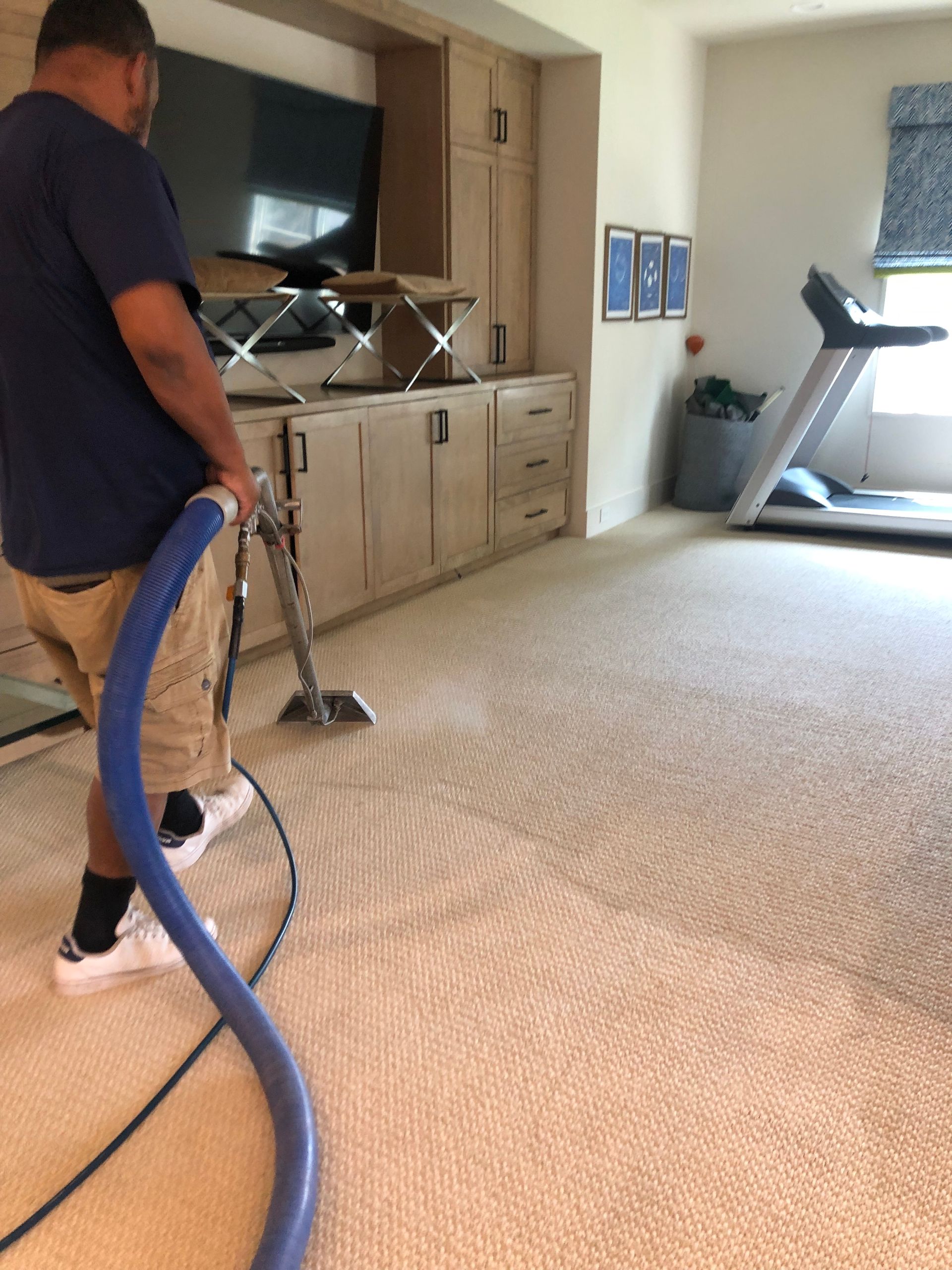 carpet cleaning spring tx