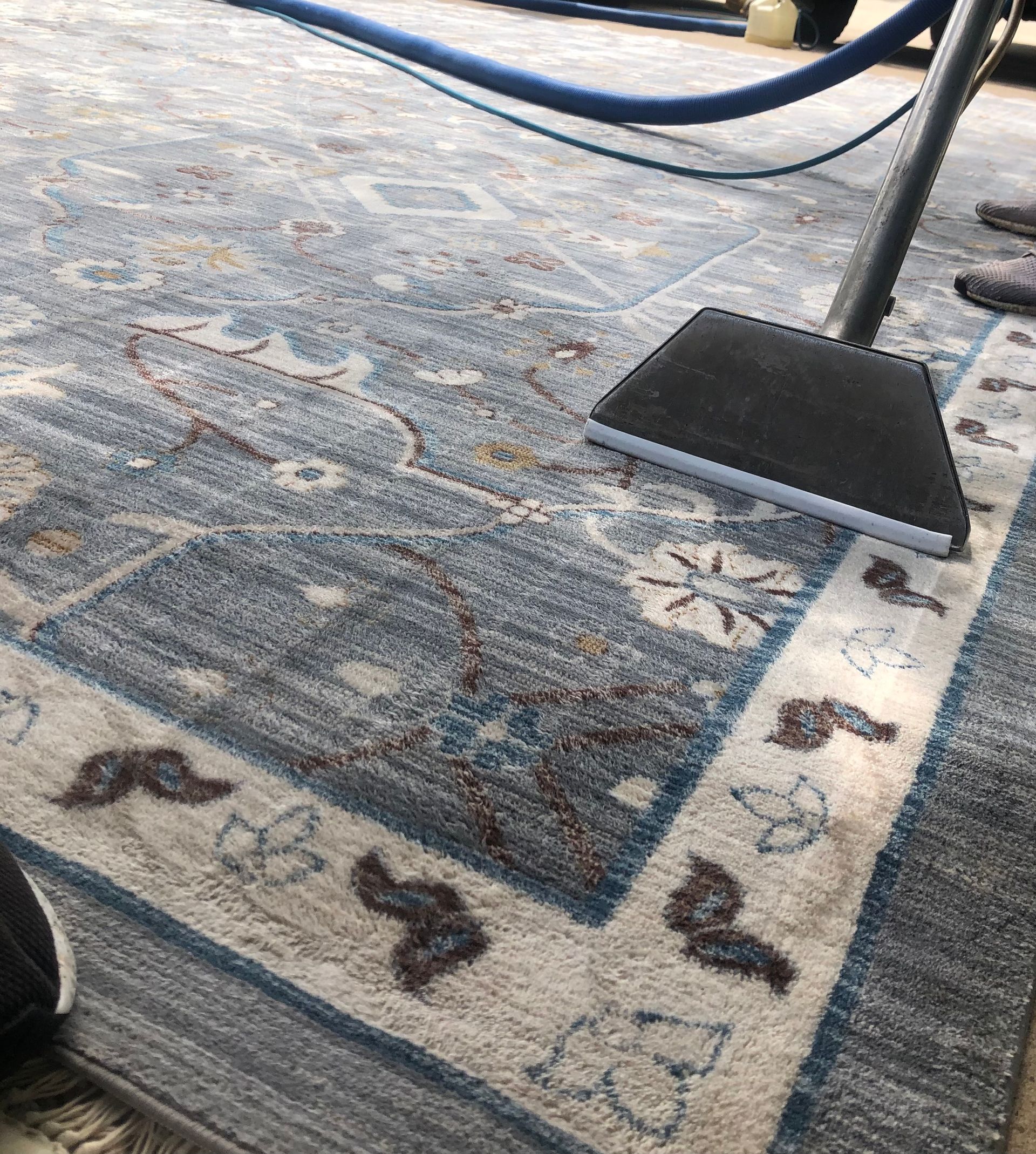 1 For Rug Cleaning In Katy Tx 5 Star Reviews