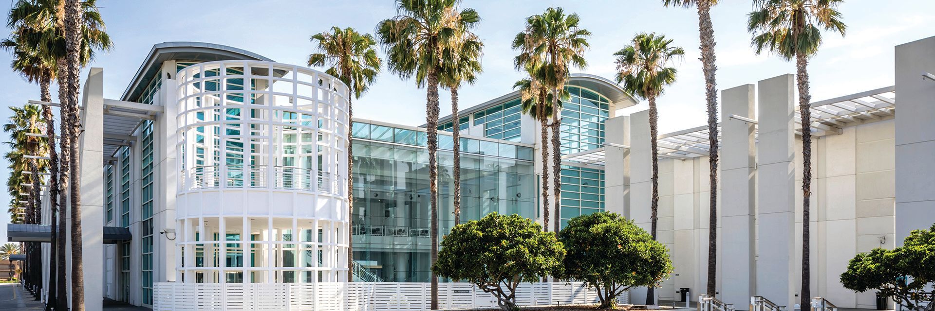 A large white building with palm trees in front of it.