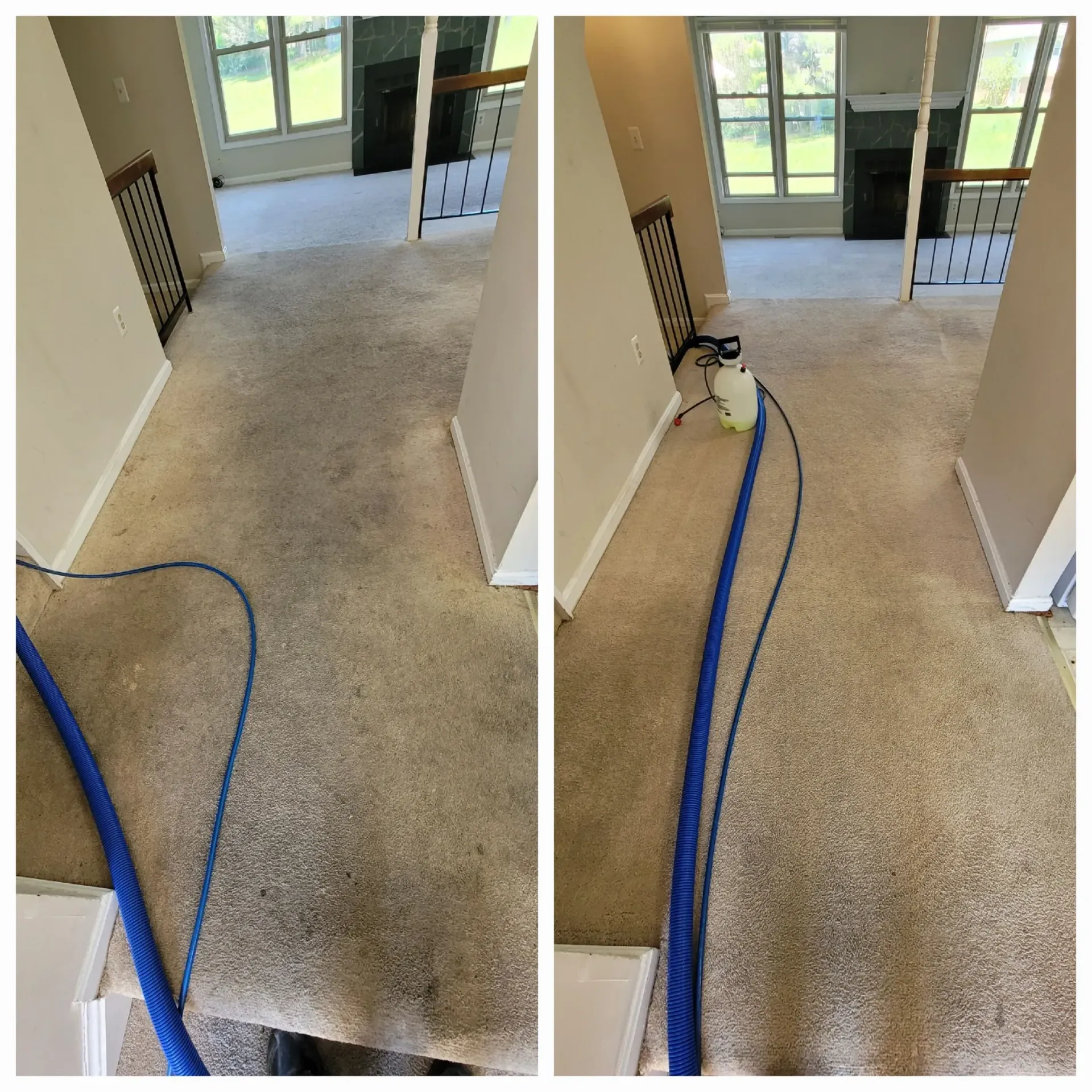 A before and after photo of a carpet being cleaned in a living room.