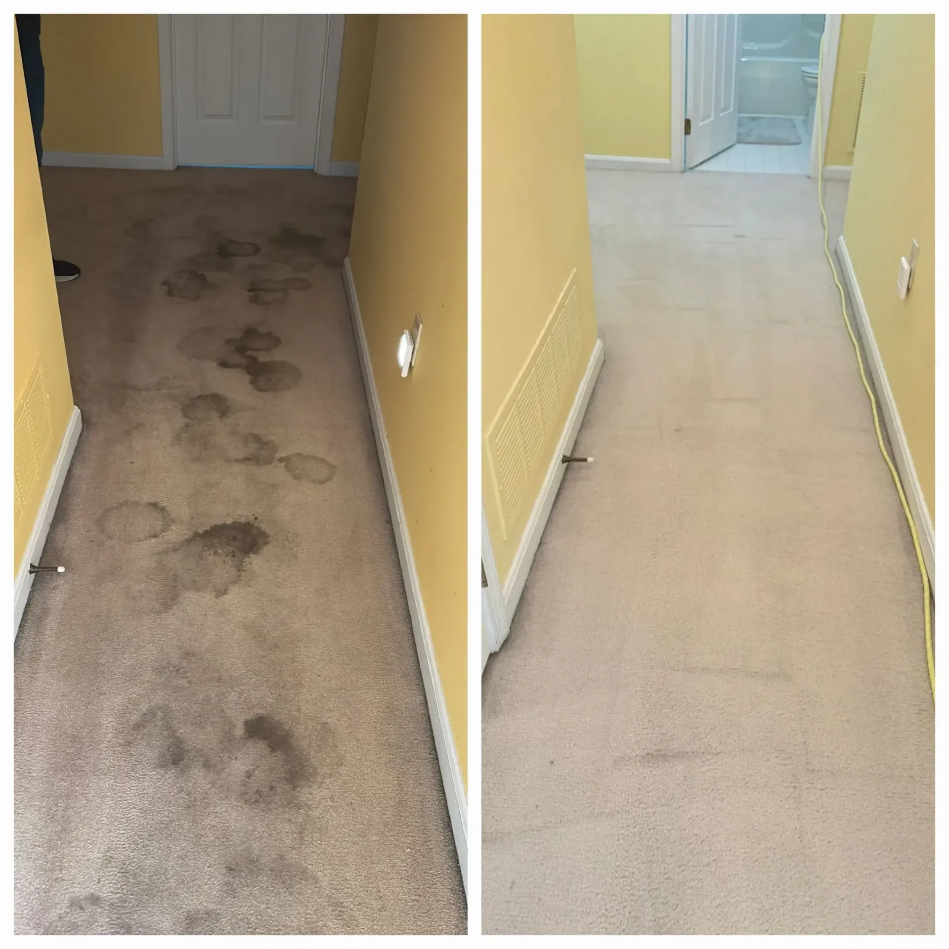 A before and after picture of a hallway carpet being cleaned.
