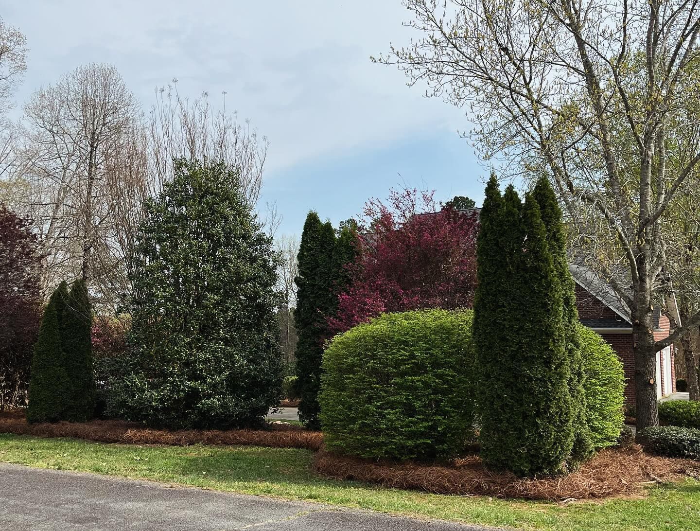 Pruning the Tree — King, NC — Ram Outdoor Solutions