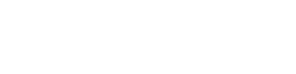 Logo VELLORE ventures
