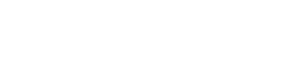 Logo PLAENGE
