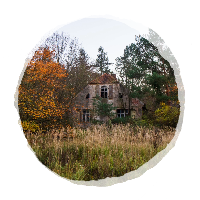 Thumbnail Grundstück gefunden