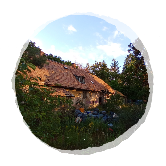 Thumbnail Rückblick 2 Jahre Grundstück