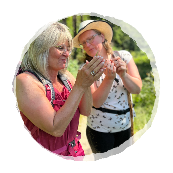 Thumbnail Ausbildung Naturcoach