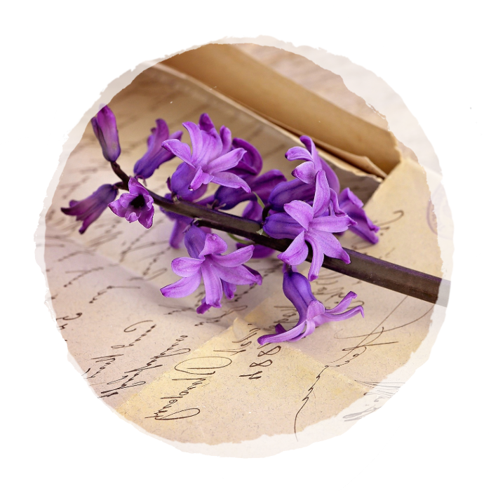 Thumbnail Projekt Gästehaus