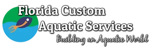 Outdoor water features designed by top landscape contractors in Melbourne