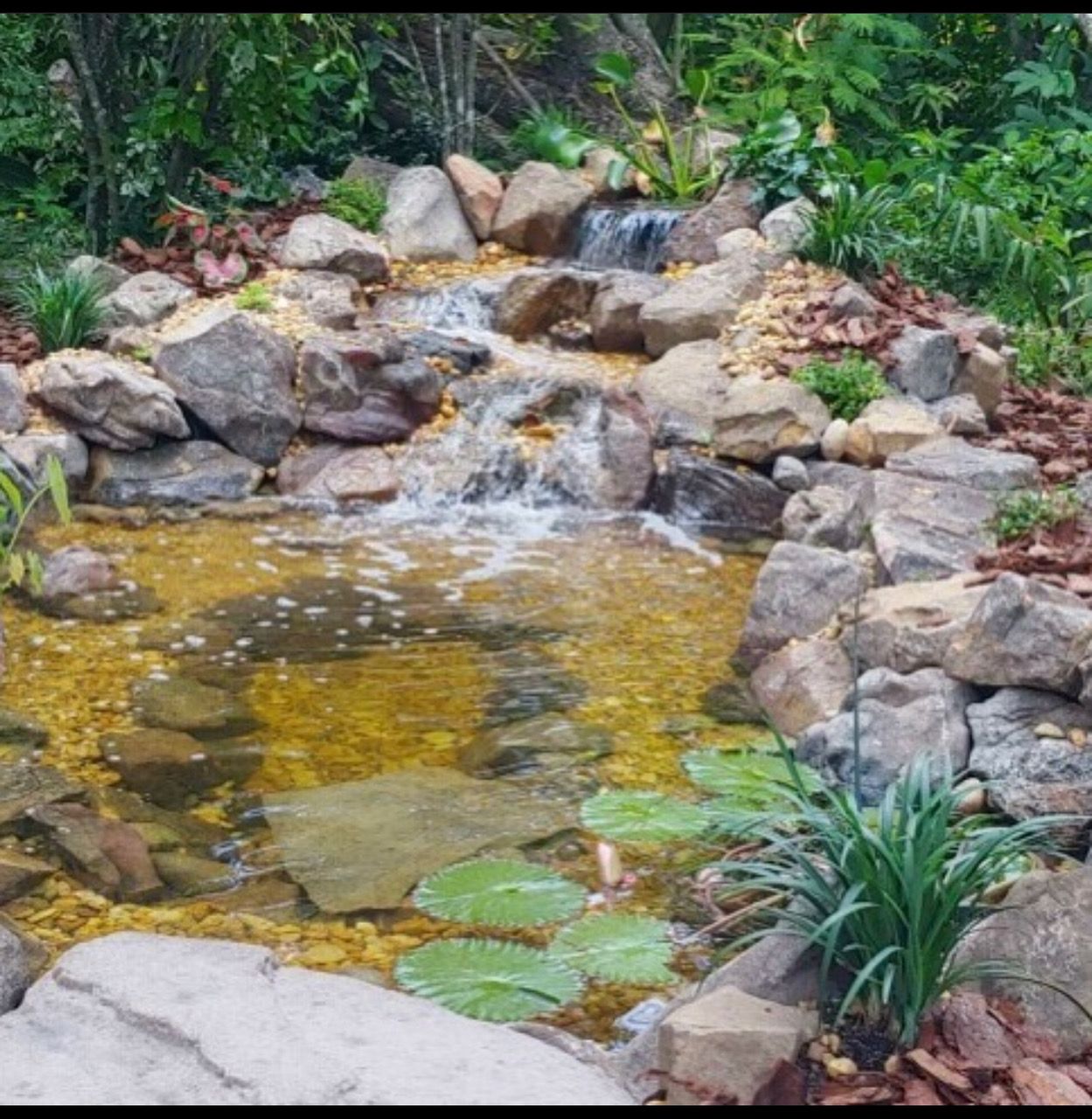 garden upgrade landscape contractors Melbourne