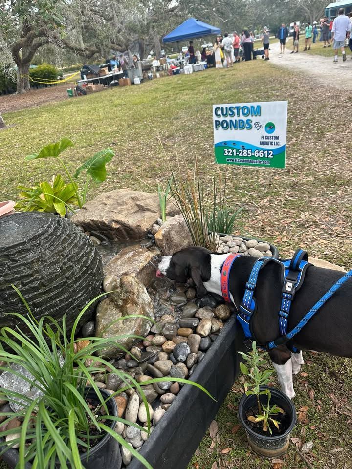 pond restoration landscape contractors Melbourne