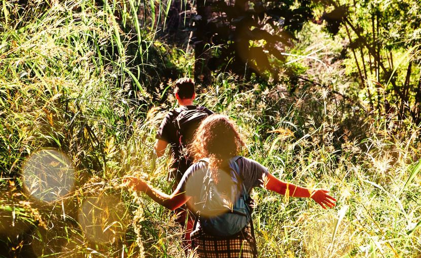 A man and a woman are walking through a field of tall grass.