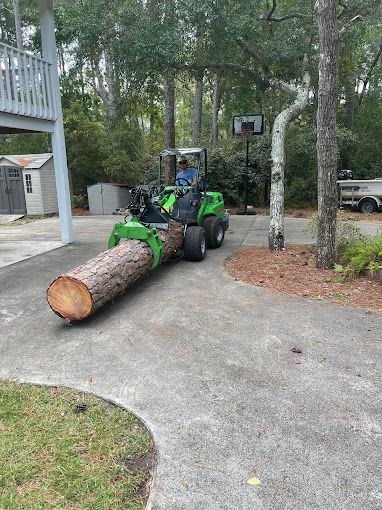 Coastal Tree Trimmers, emergency tree services, tree trimming, tree pruning, tree removal, stump grinding, land clearing, lot clearing, clear my lot, clear trees from my property, lot clearing service near me, land clearing wilmington