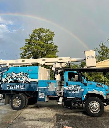 Coastal Tree Trimmers, emergency tree services, tree trimming, tree pruning, tree removal, stump grinding, land clearing, lot clearing, tree planting