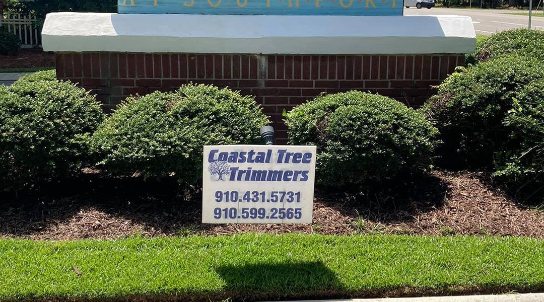Coastal Tree Trimmers, emergency tree services, tree trimming, tree pruning, tree removal, stump grinding, land clearing, lot clearing, tree planting service