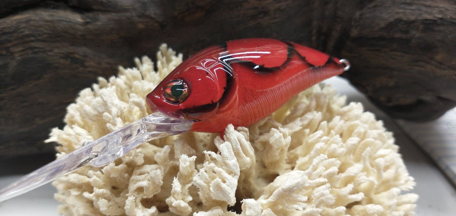 Red crankbait lure on white coral, set against a dark wood background.