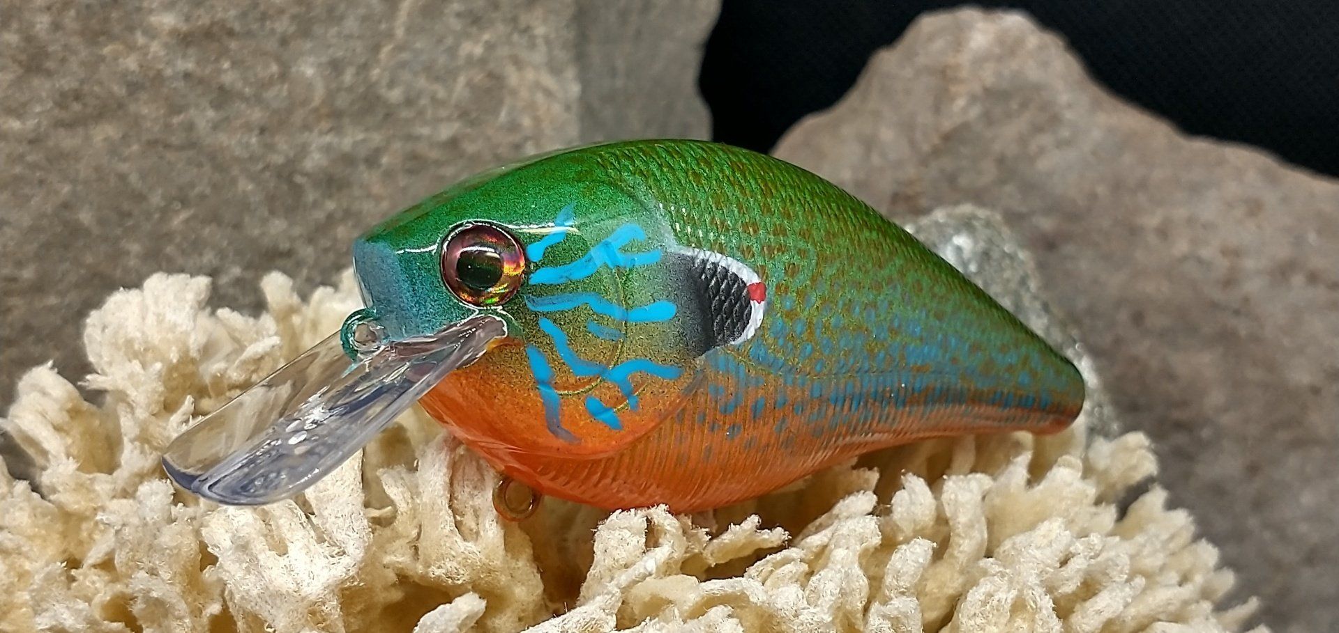Close-up of a colorful crankbait lure sitting on coral. Green, blue, and orange paint job.