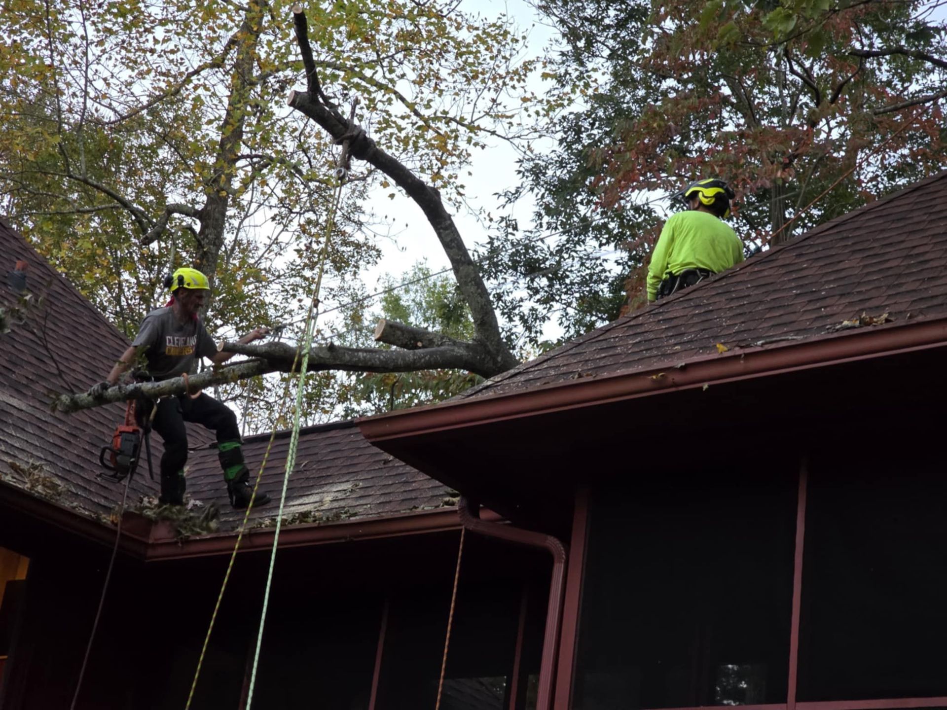 Two workers in high-visibility gear stand on a roof while removing tree branches.