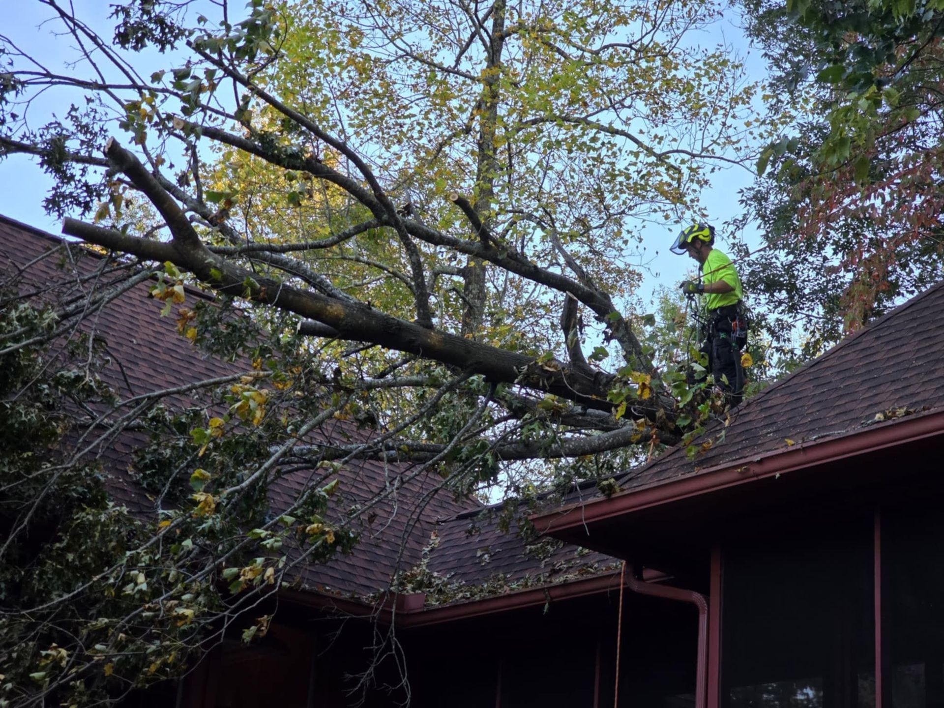 An arborist in a high-visibility yellow vest works on a large tree limb that has fallen onto a shingled roof.